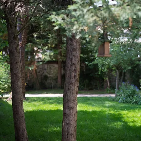 Oda ve Kahvaltı Les Chambres De Beynes Beynes (Yvelines)